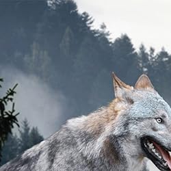 オオカミの人気壁紙画像 Wolves/Wölfe 2023: Kalender 2023