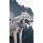 オオカミ iPhone8,7,6 Plus 壁紙 拡大(1125×2001) Wolves/Wölfe 2023: Kalender 2023 オオカミ iPhone8,7,6 Plus 壁紙 拡大(1125×2001) Wolves/Wölfe 2023: Kalender 2023