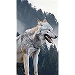 オオカミ iPhone8,7,6 Plus 壁紙 拡大(1125×2001) Wolves/Wölfe 2023: Kalender 2023