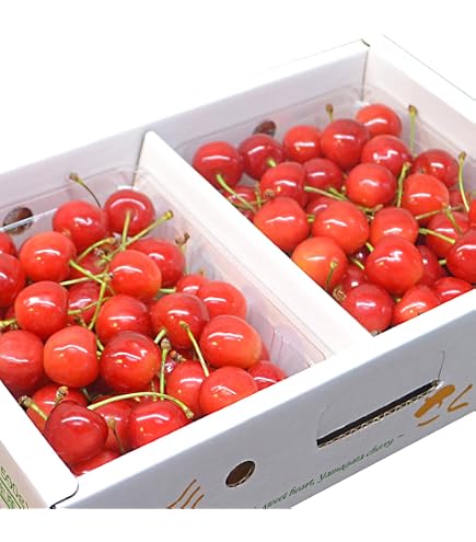 Amazon.co.jp: 山形県産 さくらんぼ 佐藤錦 訳あり 1kg : 食品・飲料・お酒