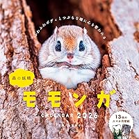 エゾモモンガちゃんの日々 - ぼくたちの森と空 - (ワニ・プラス