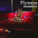 Flyways(Blu-ray Disc付)