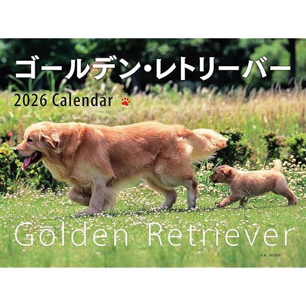 ゴールデンレトリバー 2026年カレンダー ワイド判 ゴールデン・レトリーバー (誠文堂新光社