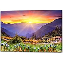 Amazon.co.jp: 富士山 太陽 風景画 アートパネル 赤富士 絵