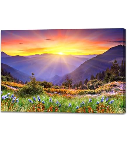 Amazon.co.jp: 青柳大雲 色紙 赤富士 : ホーム＆キッチン