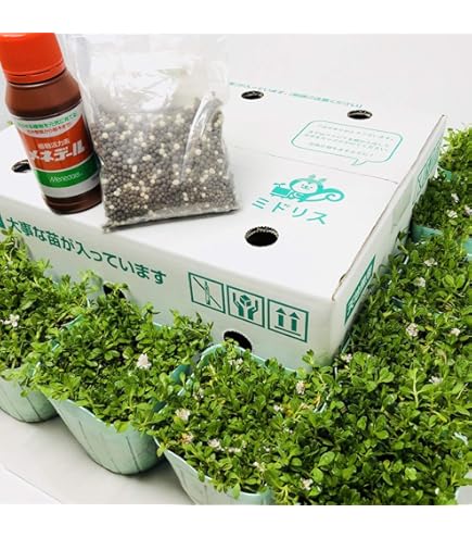 Amazon | すくすくシートセット シート14平米+J字型ピン100本 完全植栽