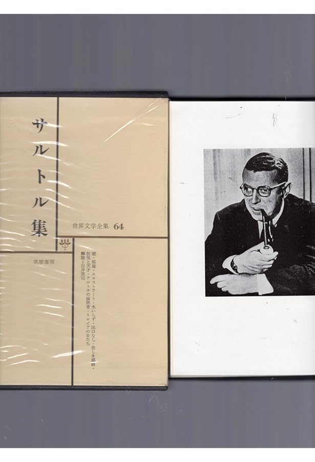 Amazon.co.jp: サルトル全集 (第8巻) : ジャン・ポ-ル・サルトル: 本