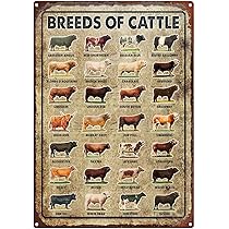 牛 看板 Yahoo!オークション -「牛」(看板) (広告、ノベルティグッズ)の