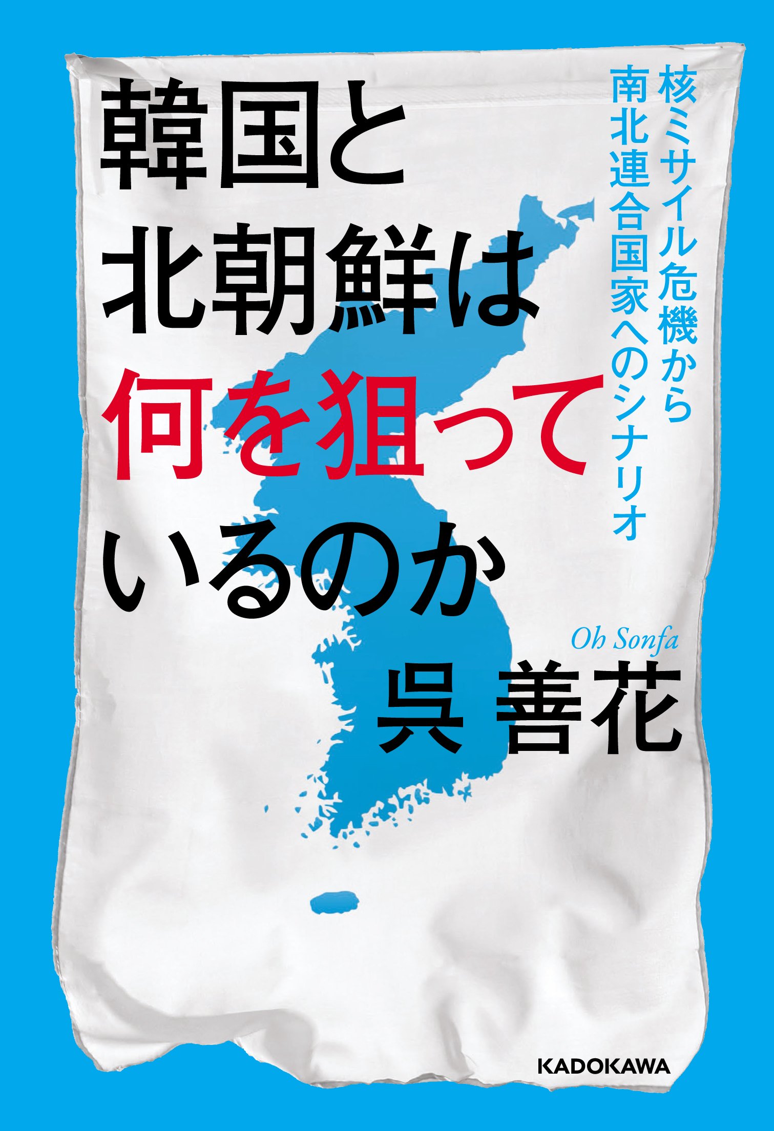 韓国と北朝鮮は何を狙っているのか 核ミサイル危機から南北連合国家へのシナリオ
