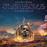 FLAMAGRA (INSTRUMENTALS) [数量限定 / 帯・解説 / 国内仕様輸入盤CD] (BRWP291I)