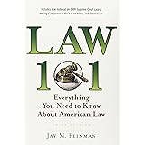 Law 101: Everything You Need to Know about American Law