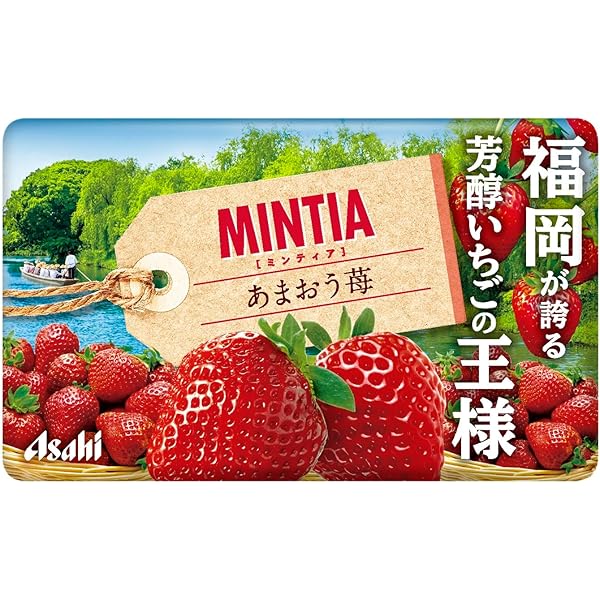 みんちあ MINTIA ミンティアブリーズ レモンライムドレス ( 30粒(22g)×4セット