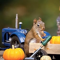 リスの人気壁紙画像 2022 the Secret Life of Squirrels Mini Calendar