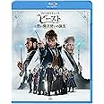 ファンタスティック・ビーストと黒い魔法使いの誕生 [Blu-ray]