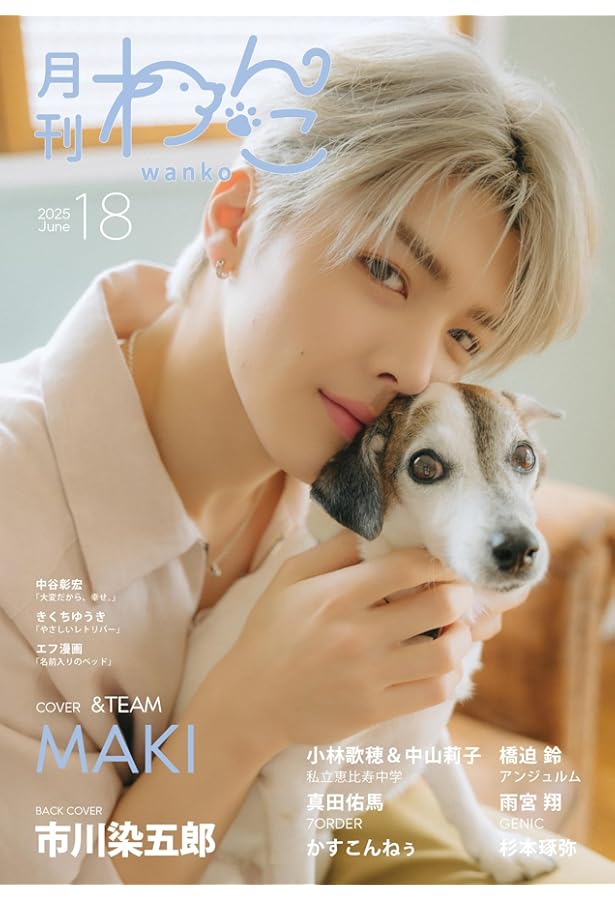 小川尊一、【犬島晩夏】、希少な額装用画集より、新品額装付、状態良好 小川尊一、【犬島晩夏】、希少な額装用画集より、新品額装付、状態良好