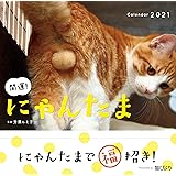 にゃんたま 芳澤 ルミ子 本 通販 Amazon