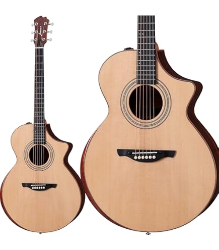 エレアコ　james 楽天市場】James J-300CII 単品・初心者12点セット エレアコ