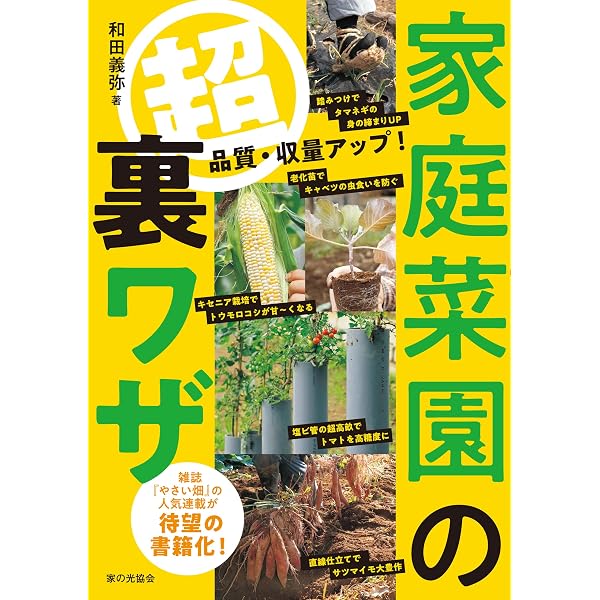 Amazon.co.jp: 育てやすい＆たくさんとれる 一坪ミニ菜園入門 eBook