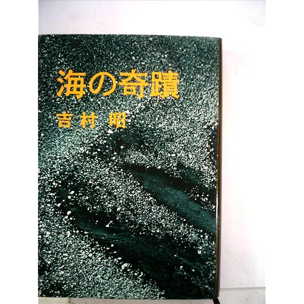 孤独な噴水 (文春文庫 よ 1-29) | 吉村 昭 |本 | 通販 | Amazon