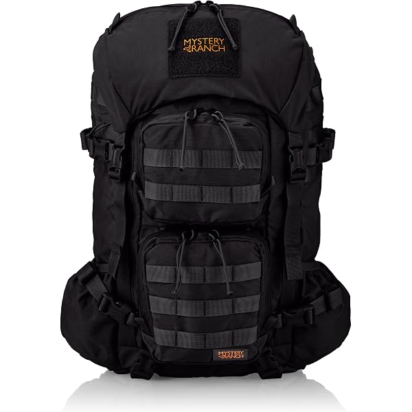 Amazon.co.jp: [ミステリーランチ] リュック BLITZ35 ブリッツ35