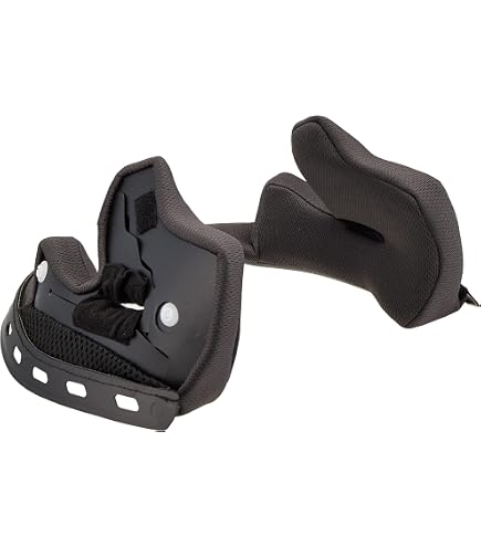 Amazon.co.jp: オージーケーカブト ( OGK KABUTO ) RT-33 チークパッド