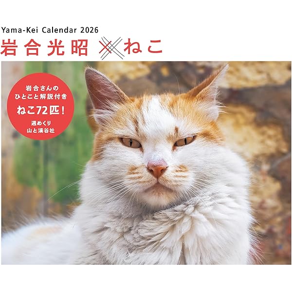 Amazon.co.jp: 岩合光昭のご当地ねこ : 岩合 光昭, 岩合 光昭