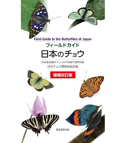 Amazon.co.jp: 【UVカット】中型ドイツ型標本箱（黒） : おもちゃ