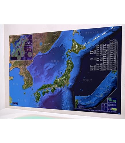Amazon.co.jp: 江戸情報地図 1:6500 復元江戸情報地図 古地図 江戸地図