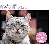 カレンダー2024 岩合光昭×ねこ（週めくり/卓上・リング） (ヤマケイカレンダー2024)
