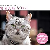 【新品未使用・英語ＣＤ付】河合塾２０２４年度第２回全統高１模試２０２４年８月実施 2024年 第4回 全統高1模試 河合塾 全統模試 成績統計資料付 書込