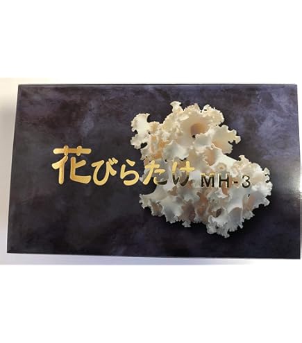 Amazon | ハナビラタケBIO MH-3 2箱セット | ハナビラタケ BIO MH-3