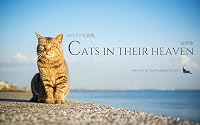 のらネコ写真集 Cats in their heaven 抜粋版