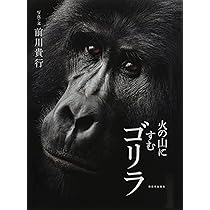 ゴリラ Amazon.co.jp: 火の山にすむゴリラ : 前川貴行: 本