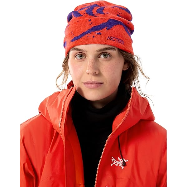 ARC'TERYX 赤　ニット帽　Bird Head Toque Amazon | [ARC'TERYX] Bird Head Toque Bordeaux：Turbo AC Free