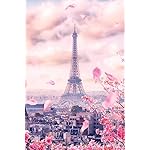 世界遺産 iPhone(640×960)壁紙 パリのセーヌ河岸/フランス 世界遺産 iPhone(640×960)壁紙 パリのセーヌ河岸/フランス