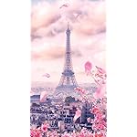 世界遺産 XFVGA(480×854)壁紙 パリのセーヌ河岸/フランス 世界遺産 XFVGA(480×854)壁紙 パリのセーヌ河岸/フランス