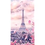 世界遺産 iPhoneSE/5s/5c/5 壁紙 視差効果 パリのセーヌ河岸/フランス 世界遺産 iPhoneSE/5s/5c/5 壁紙 視差効果 パリのセーヌ河岸/フランス