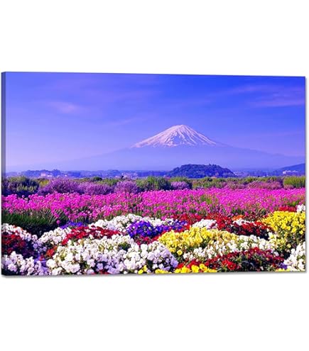 Amazon.co.jp: 絵画 北海道 函館市夜景になる前の街並みインテリア