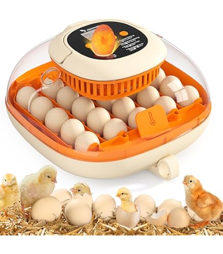 MATICOOPX 30 Egg Incubator with Humidity Display, Egg Candler