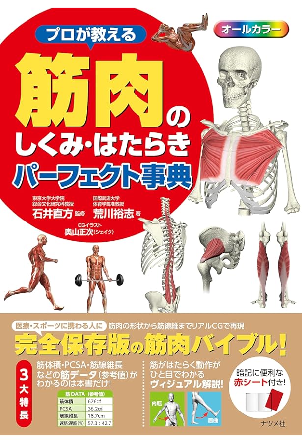 ボディ・ナビゲーション : 触ってわかる身体解剖 : 触診解剖学の決定版! Amazon.co.jp: 【DVD】ボディ・ナビゲーション―触ってわかる身体