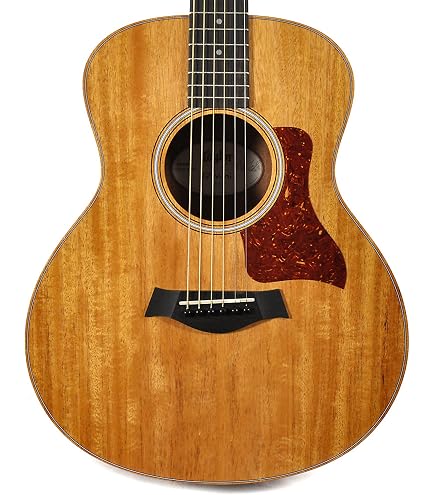 Amazon | Taylor/GS Mini-e Mahogany [チューナー内蔵3バンドEQ