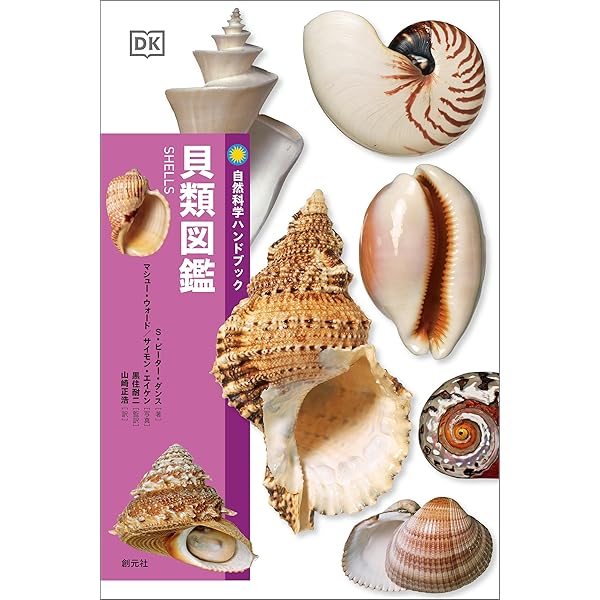 Amazon.co.jp: 日本の貝：温帯域・浅海で見られる種の生態写真＋貝殻