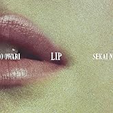 Lip (通常盤)