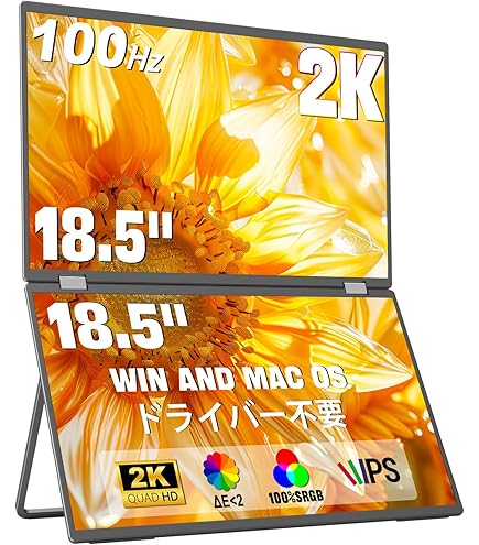 Amazon.co.jp: InnoView 18インチ 2K 100Hz デュアルポータブル