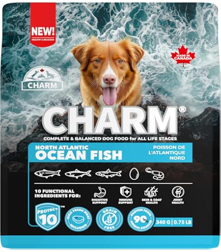 Amazon.co.jp: CHARM プロテクト10 ノースアトランティックオーシャン