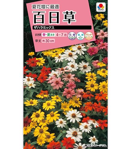 Amazon | タキイ種苗 百日草 カクタス咲混合 | 花
