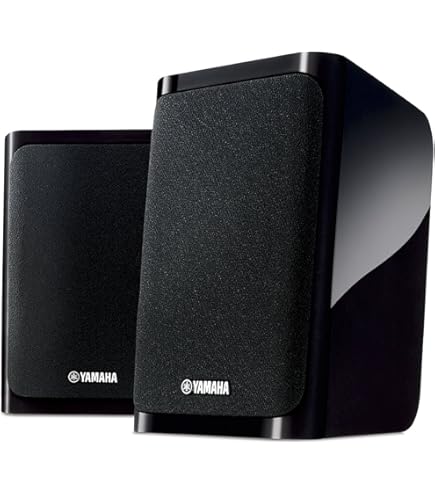 Amazon.co.jp: ONKYO スピーカーシステム （2台1組） D-NX10(B