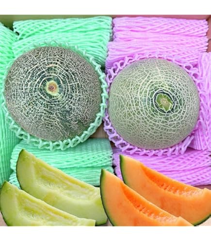 89.韓国チャメメロン韓国メロン　韓国香瓜箱込み5kg玉数お任せ 562.韓国チャメメロン韓国メロン 韓国香瓜箱込み5kg玉数お任せ