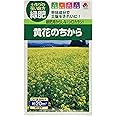 タキイ種苗 緑肥用からしな（シロカラシ） 黄花のちから