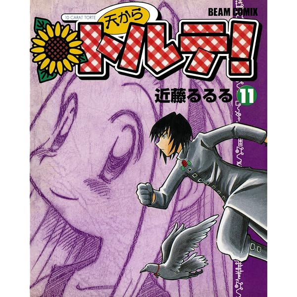 Amazon.co.jp: 天からトルテ! (11) (ビームコミックス) eBook : 近藤